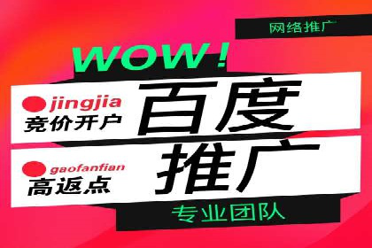 百度优化推广案例：提升网站转化率策略